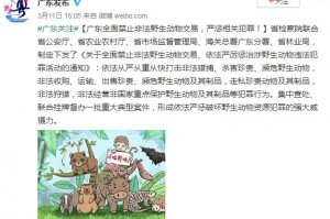 上海对非重点区域内人员核检︰(非重点国家入境上海要隔离吗)