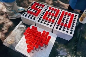 浙江昨天新增本土阳性49例〃昨天浙江省新增42例