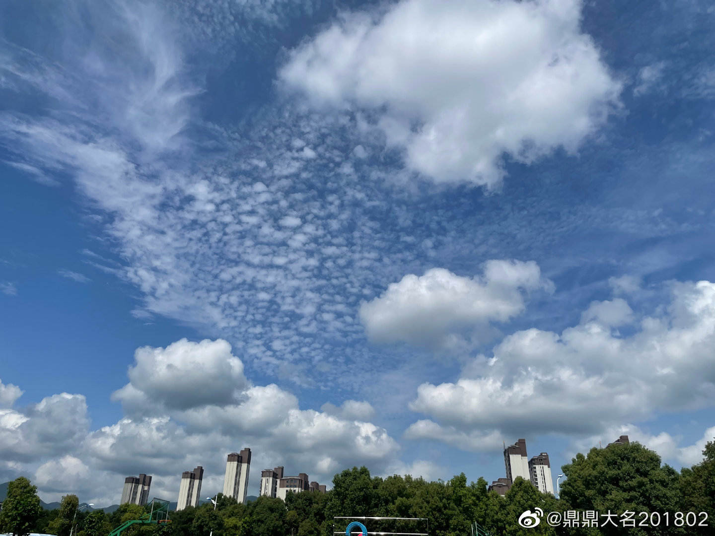 上海新增本土无症状5例〃上海新增本土确诊5例-第1张图片